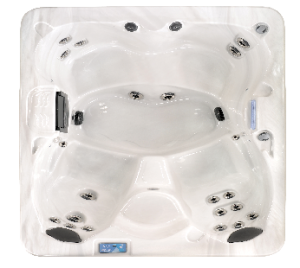 Vita Spa Image Hot Tub